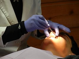 orthodontist 